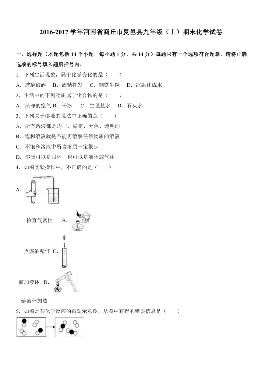 河南省商丘市夏邑县2016-2017学年九年级（上）期末化学试卷（解析版）