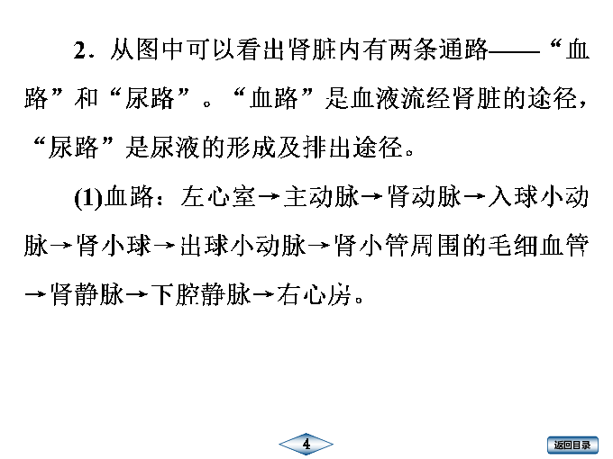 专题7  人体内废物的排出 课件 （31张PPT）