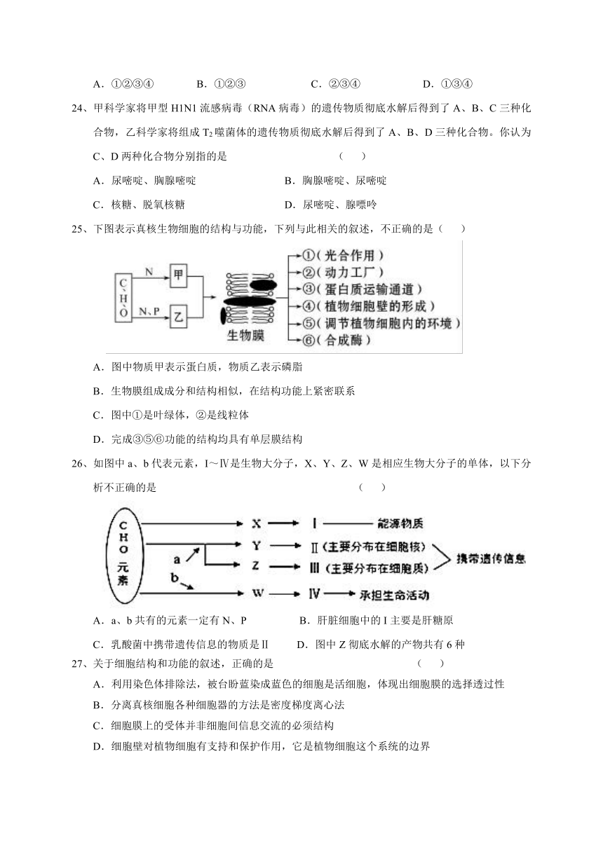 甘肃静宁县第一中学2017-2018学年高一下学期期末考试生物试题