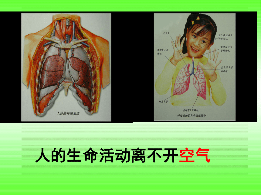 科学四年级下粤教粤科版2.6呼吸与健康课件(14张)