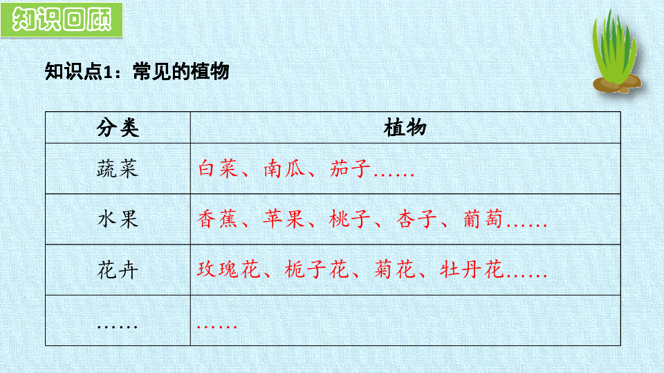 湘科版科学一下 第四单元  各种各样的植物 复习课件  (共18张PPT)