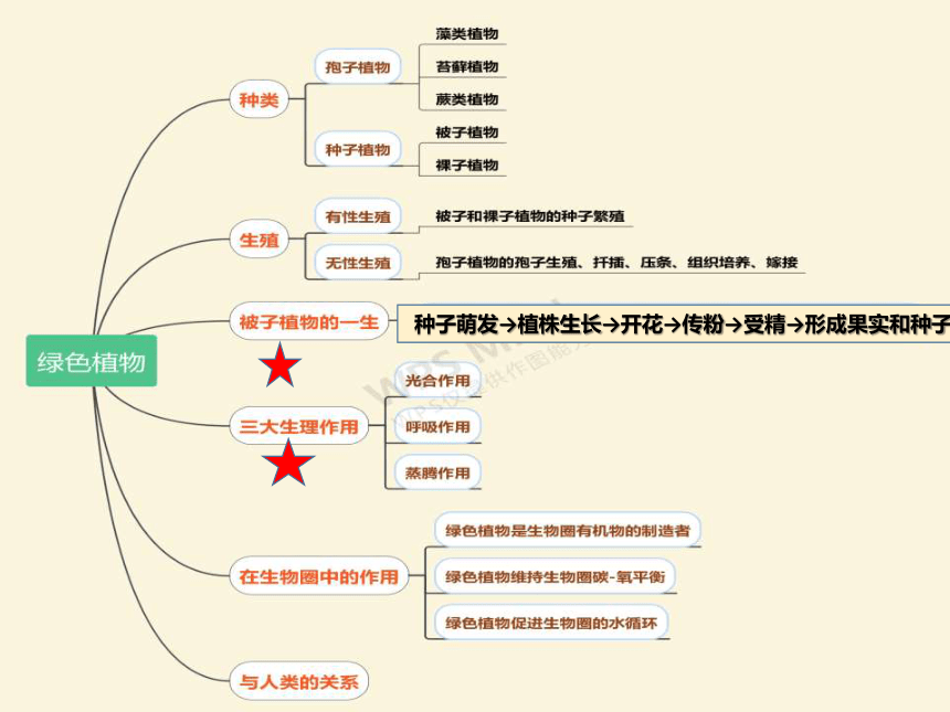 專題複習四植物的三大生理作用課件49張ppt