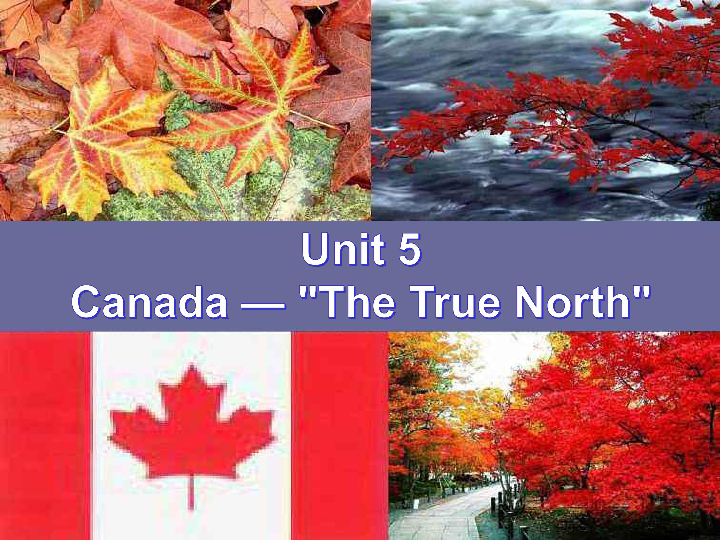 人教版高一英语必修三Unit 5 Canada —“The True North” Grammar课件（23张）