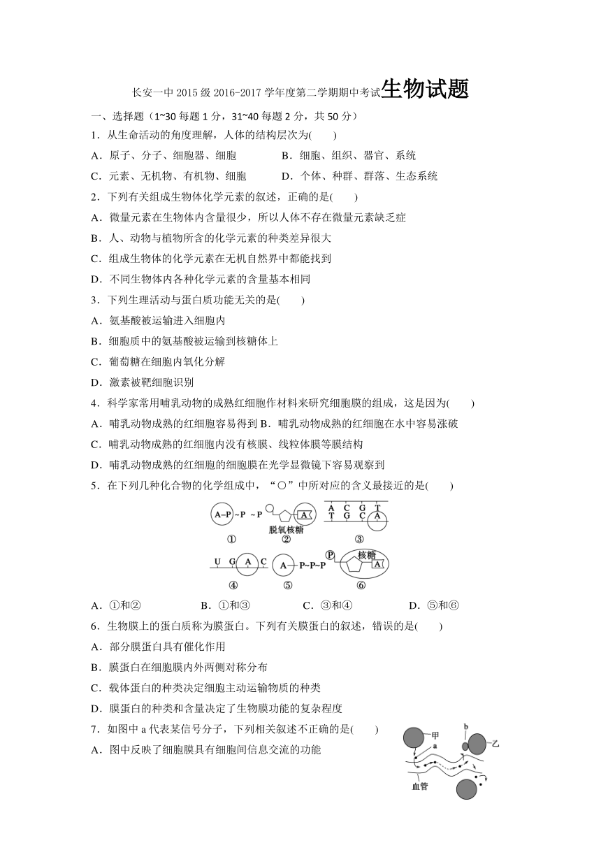 陕西省西安市长安区一中2016-2017学年高二下学期期中考试生物试卷