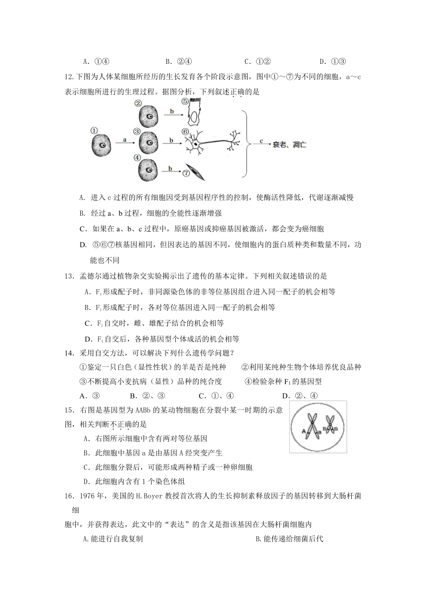 北京市通州区2013届高三上学期期末考试生物试题