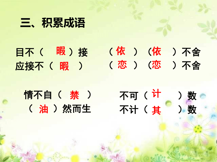 《鸟的天堂》课件