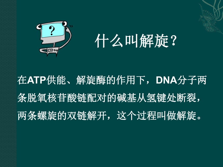DNA的复制（中图版）