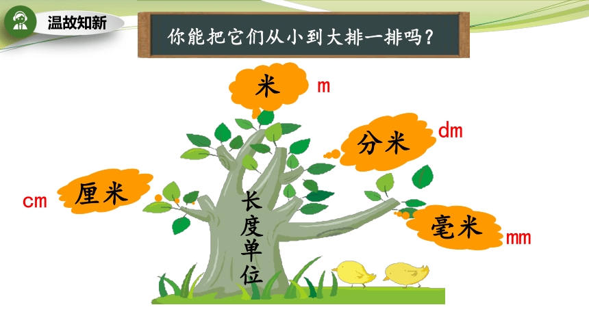 对比估测感知生活应用位单度长1分米1毫米1厘米1米毫米mm厘米cm