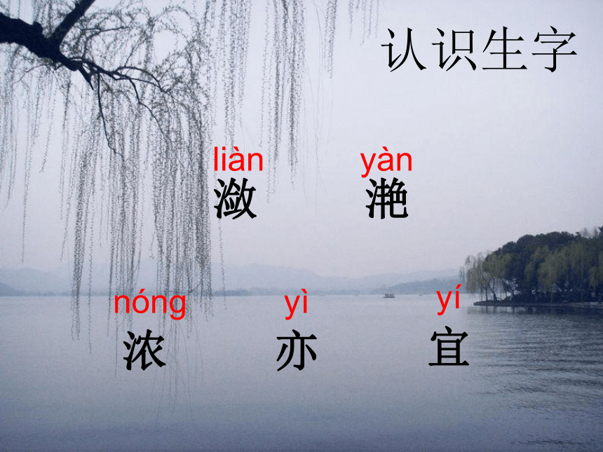 三年级上册语文课件-饮湖上初晴后雨_人教版