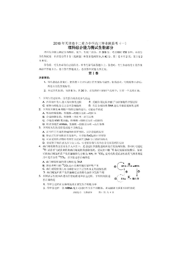 天津市滨海新区大港油田第一中学2019届高三一模生物试卷 扫描版含答案