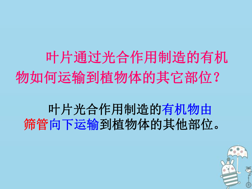 3.4绿色植物是生物圈中有机物的制造者课件（30张PPT）