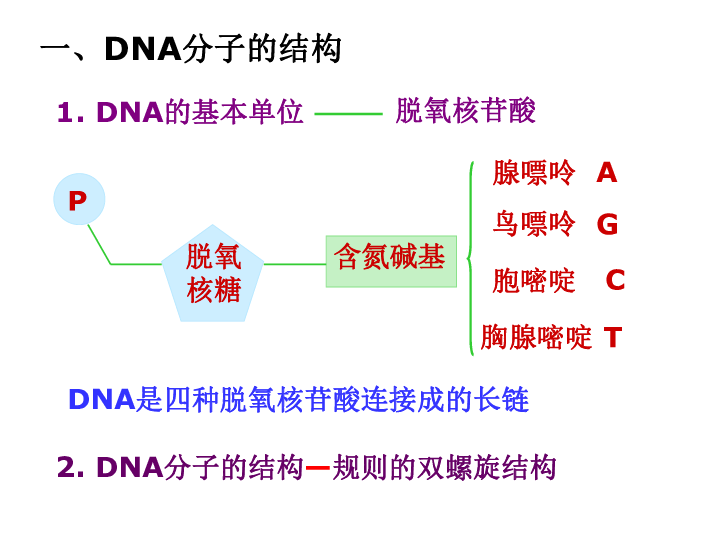 人教新课标高中生物必修二  3.4基因是有遗传效应的DNA片段 课件