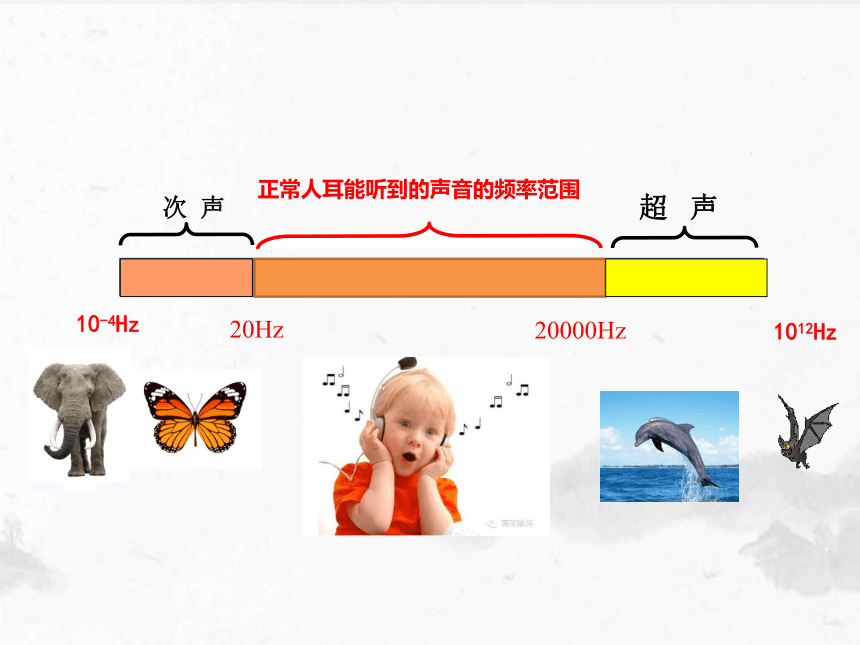 3超声与次声 课件 2021