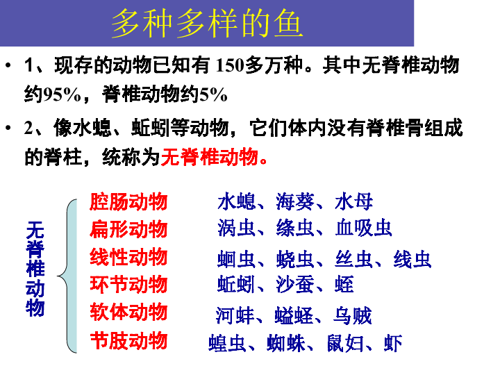 鱼课件共27张ppt