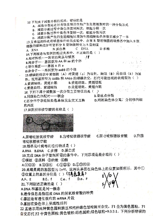 湖南省衡阳县第四中学2018-2019学年高一下学期期中考试生物试题（平行班） 扫描版含答案