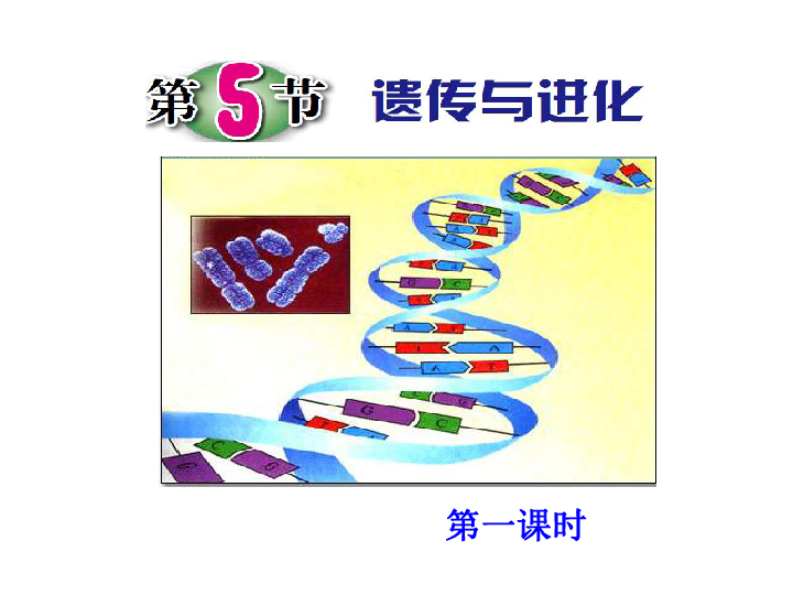 第5节 遗传与进化(课件 18张PPT 第1课时)