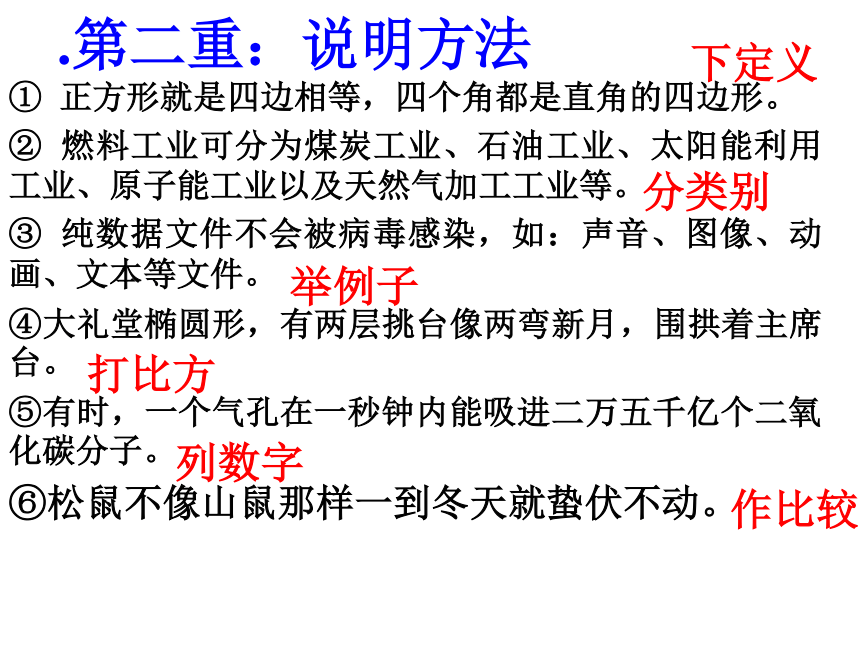 2021年中考语文二轮专题复习：说明文阅读技巧及其训练课件（共38张PPT）