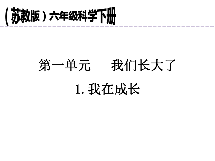 苏教版 六年级下册科学课件  1-1我在成长     （课件共21张ppt）