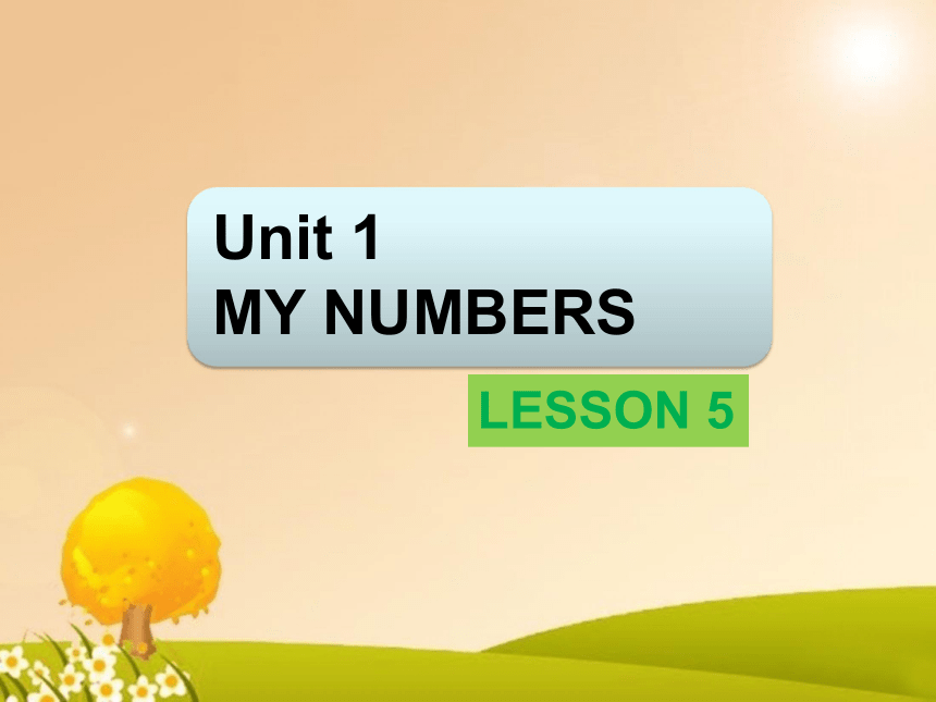 Unit 1 My numbers Lesson 5 课件