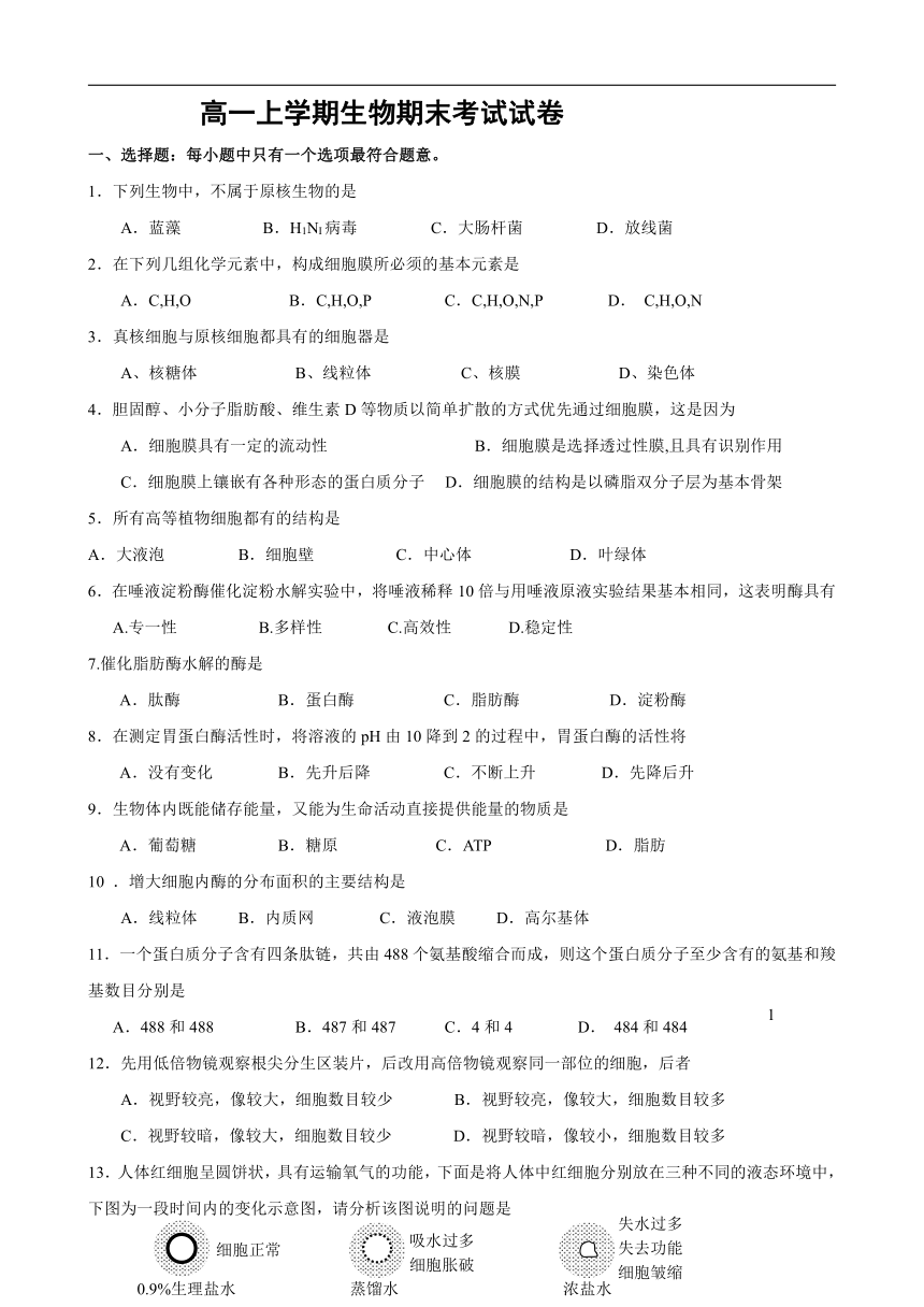 吉林省东丰县三中2017-2018学年高一上学期期末考试生物试卷