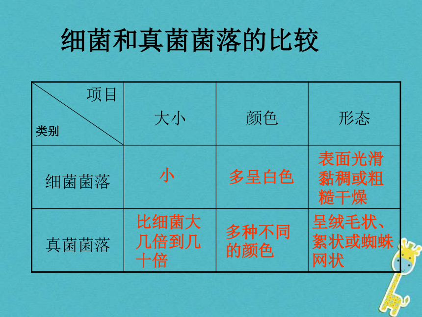 5.4.1细菌和真菌的分布课件（18张PPT）