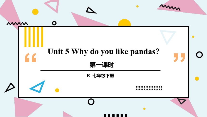 Unit 5 Why do you like pandas第1课时考点讲解（19张PPT）