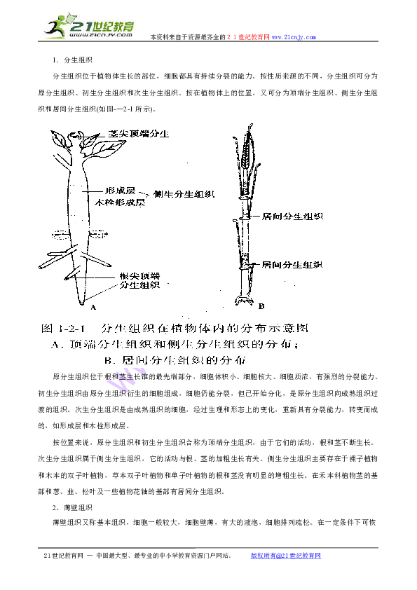 高中生物競賽輔導:第二章 植物解剖和生理