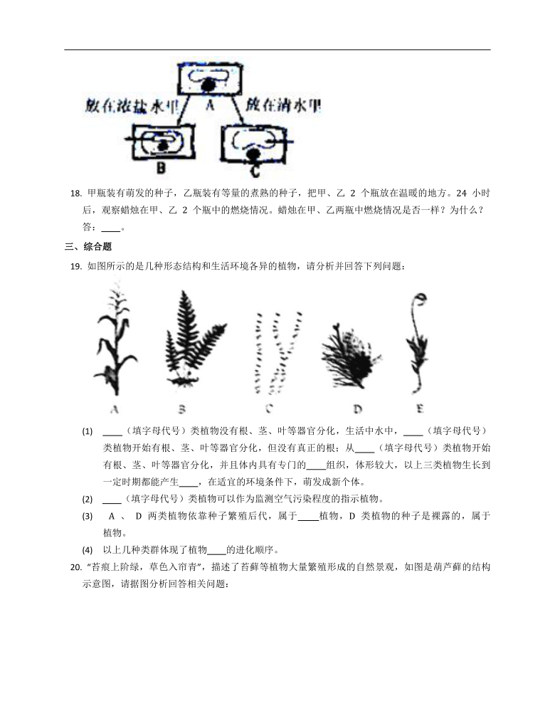 沪教版第二册生物 4.1植物课时训练（含答案）