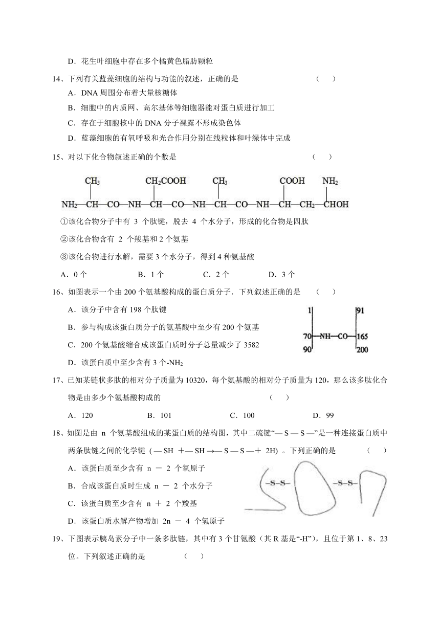 甘肃静宁县第一中学2017-2018学年高一下学期期末考试生物试题