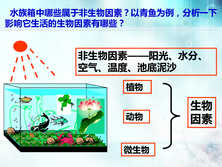 冀教版八下生物 7.2.1生态系统的组成和类型 课件（32张PPT）