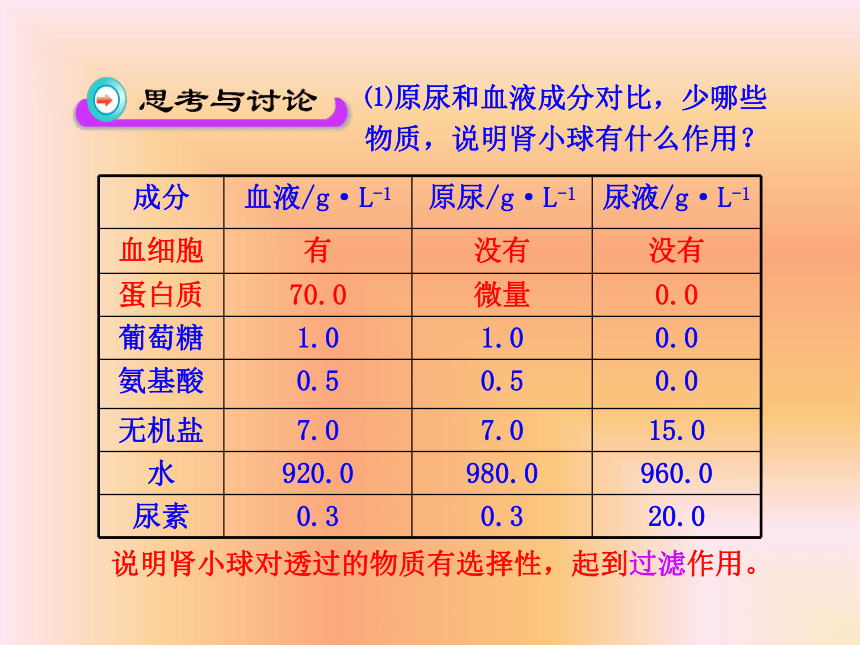 人体废物的排出 课件 (2)