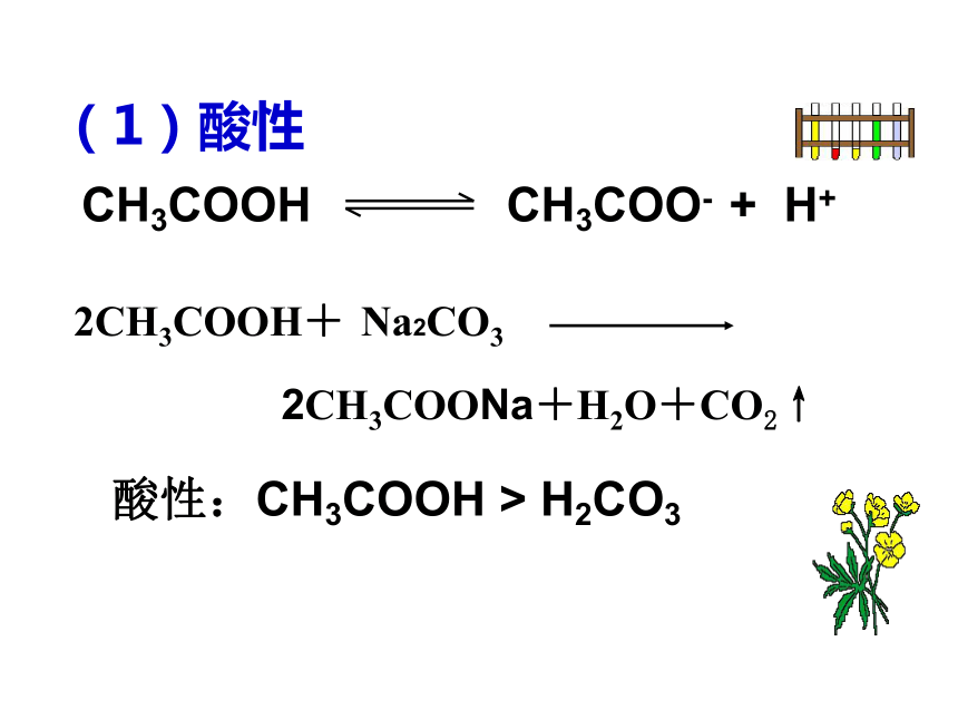 2017-2018年江苏省吴江市平望中学人教版高中化学必修二：第三章有机化合物 第三节乙酸 课件 (共34张PPT)