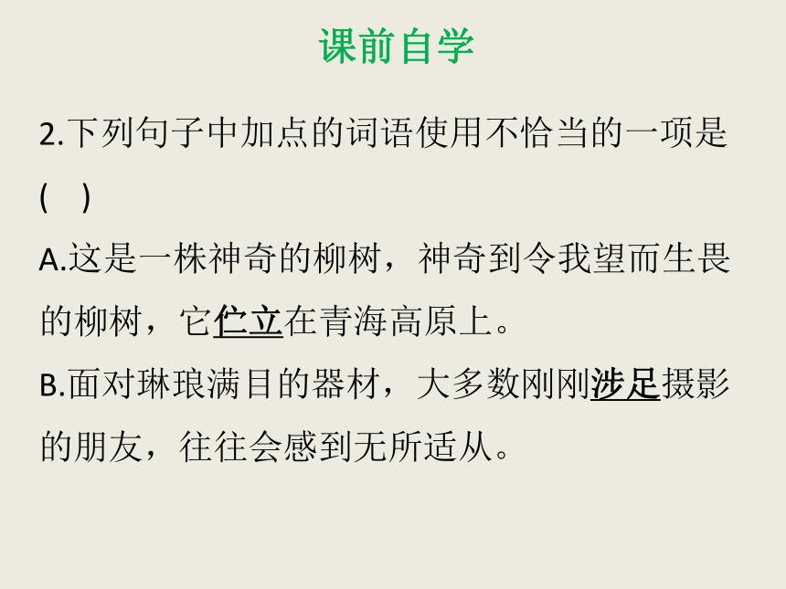 19  诗两首课件