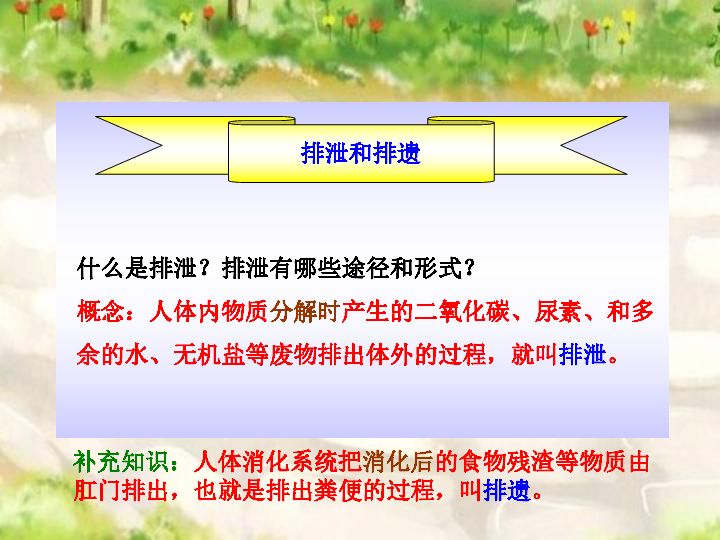 苏科版八年级上册生物  15.2人体内废物的排出 课件   (28张PPT)