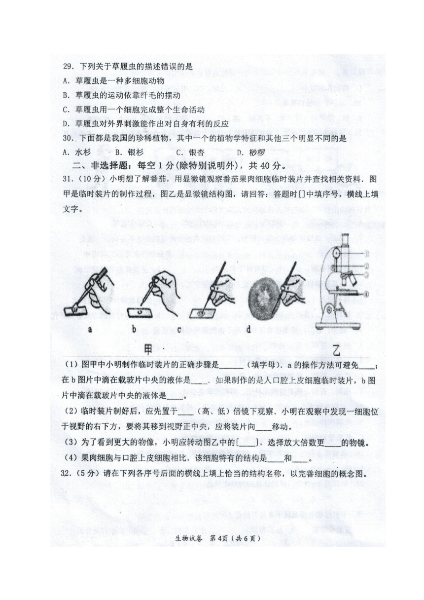 广西来宾市忻城县2017-2018学年七年级上学期期中教学质量调研生物试题（图片版）