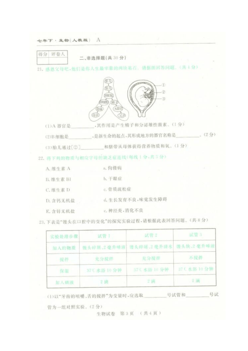 吉林省名校调研（省命题）2016-2017学年七年级下学期第一次月考生物试题（图片版）