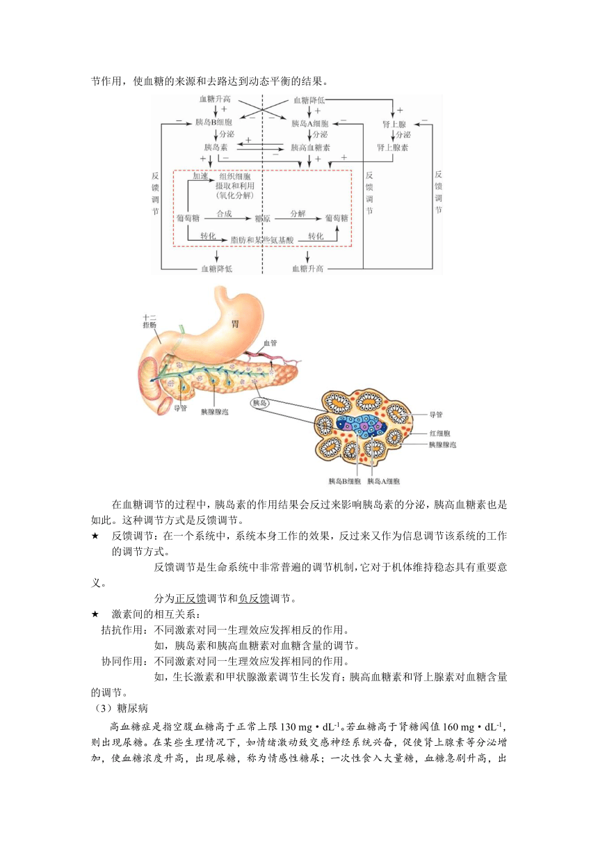 广东省深圳市2015-2016学年高一上学期生物讲义激素调节（含答案）