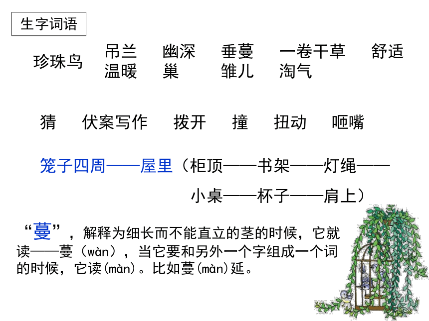 21《珍珠鸟》 课件