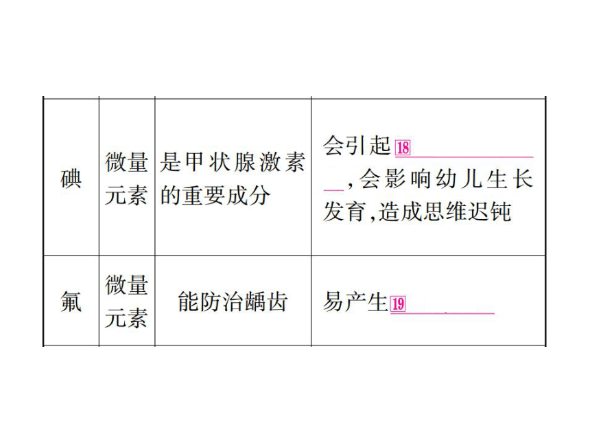 【掌控中考】2017年中考化学（湖北地区）总复习课件-第12单元 化学与生活（图片版） （共43张PPT）