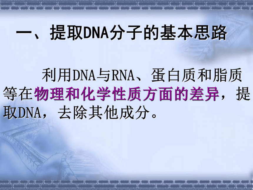 人教版选修1专题五课题1DNA粗提取与鉴定（共18张PPT）