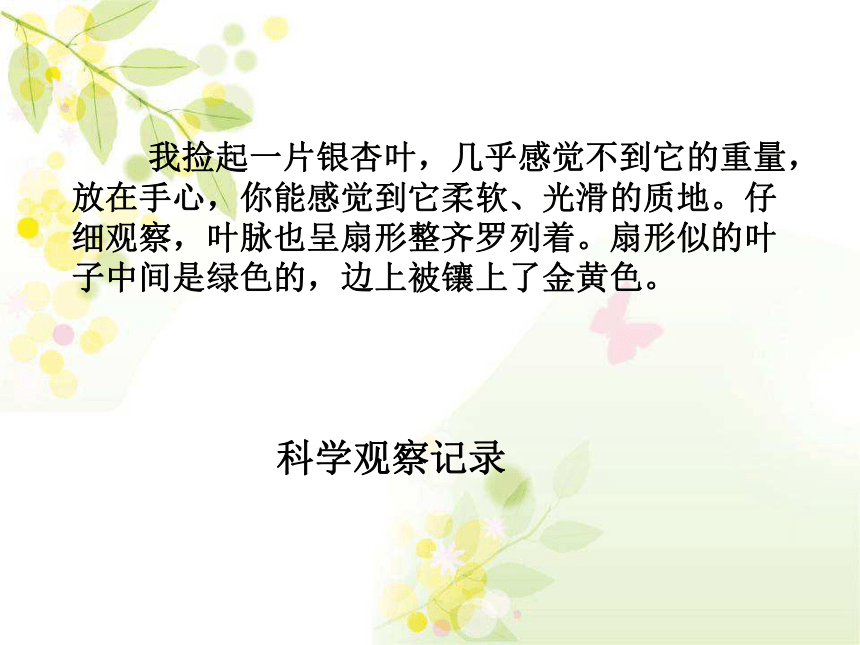 课件预览