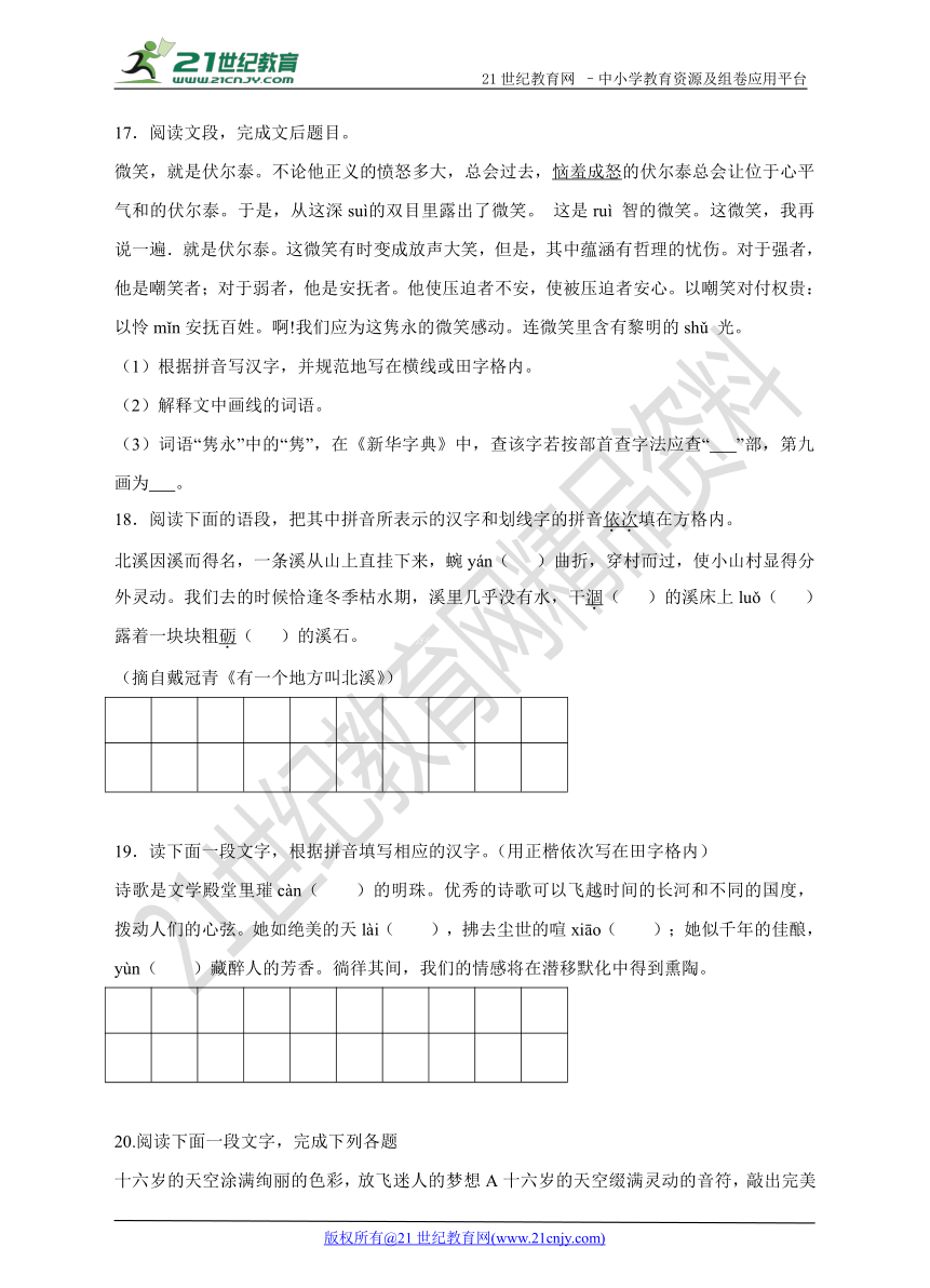 2017届中考备考语文二轮专项训练——字音（含解析）