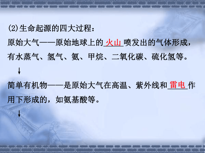 人教版八年级下册第七单元第三章生命起源和生物进化 复习课件（共14张PPT）