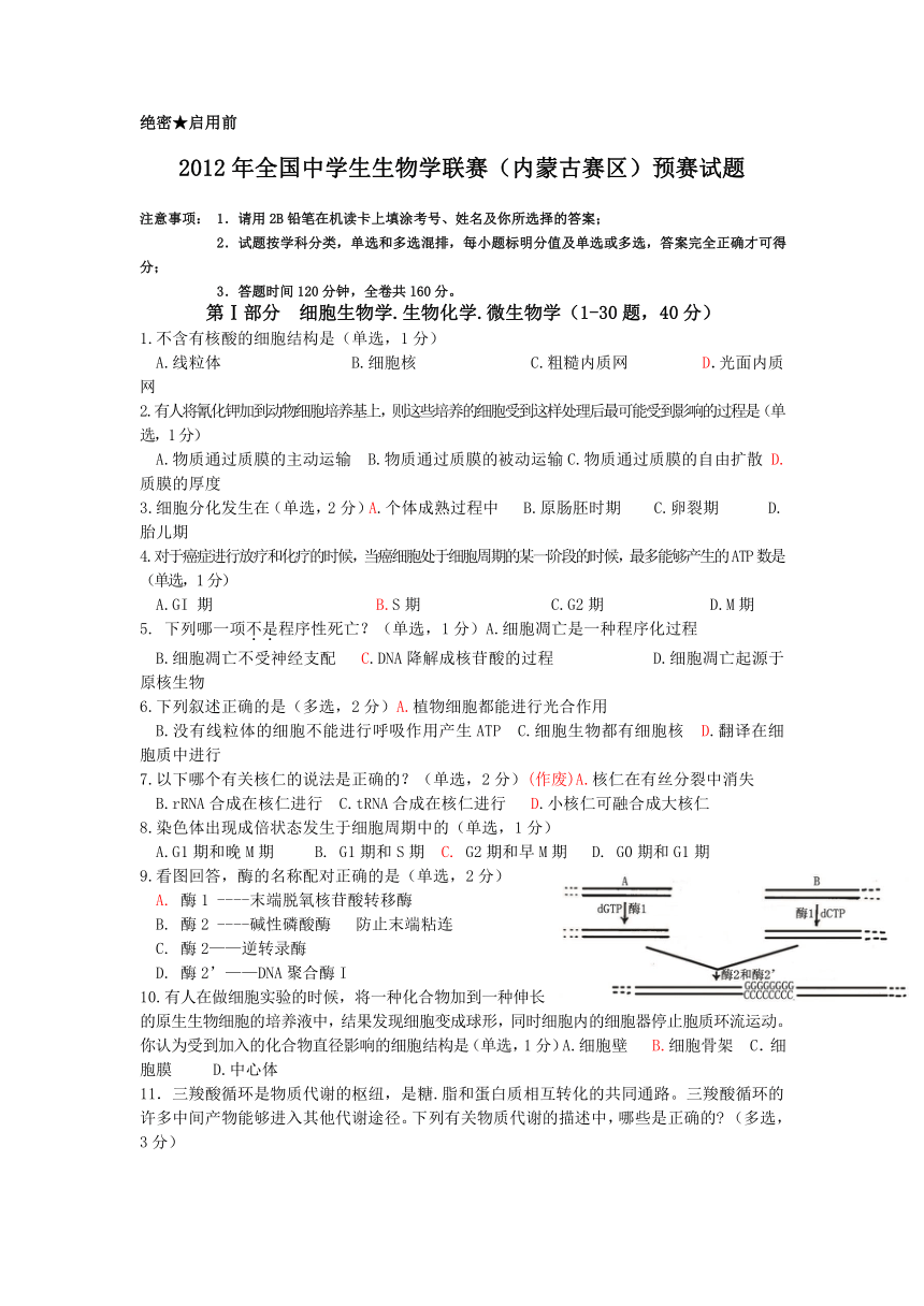 2012年全国中学生生物学联赛内蒙古赛区预赛试题及答案