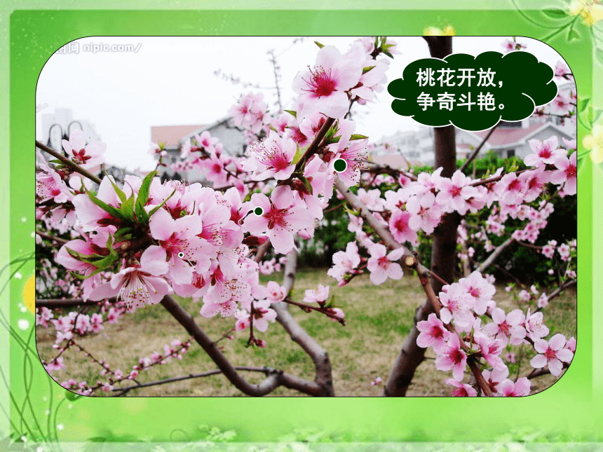 第1章第1节 生物与生物学 课件（共62张PPT）