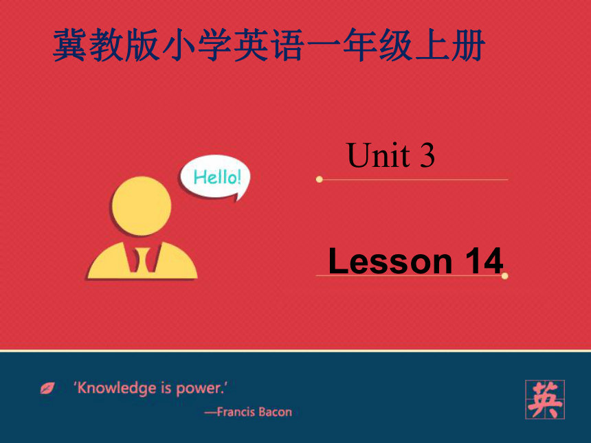 Lesson 14 What Is This？课件