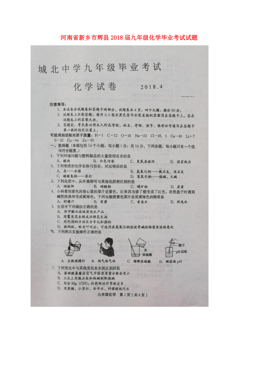 河南省新乡市辉县2018届九年级化学毕业考试试题（扫描版）