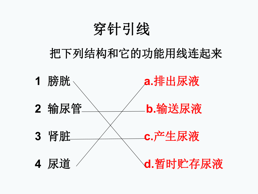 2017云南中考试题研究 生物 名师ppt 人体内废物的排出