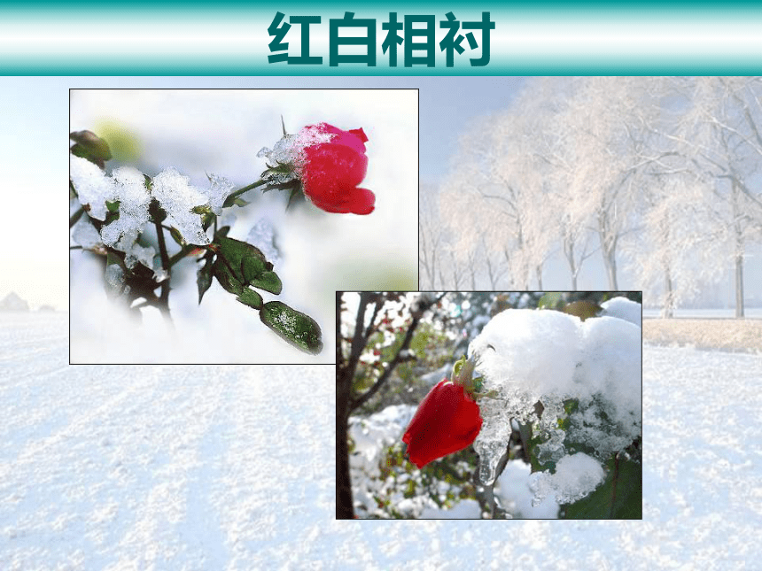 雪课件