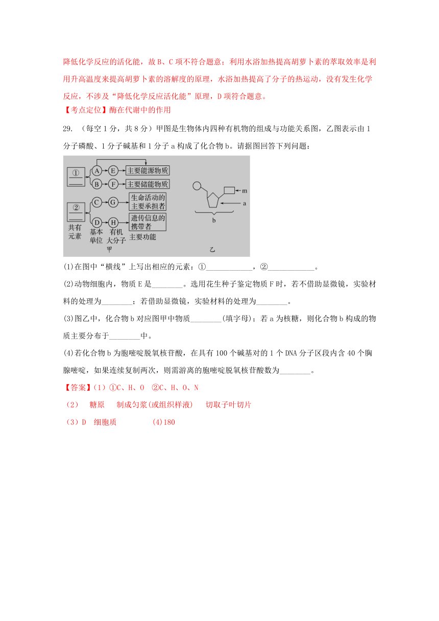 甘肃省会宁县第一中学2017届高三第二次（10月）月考理综生物试题解析（解析版）